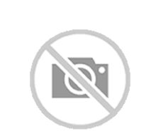 GALL DONINAS F SECOS X200G